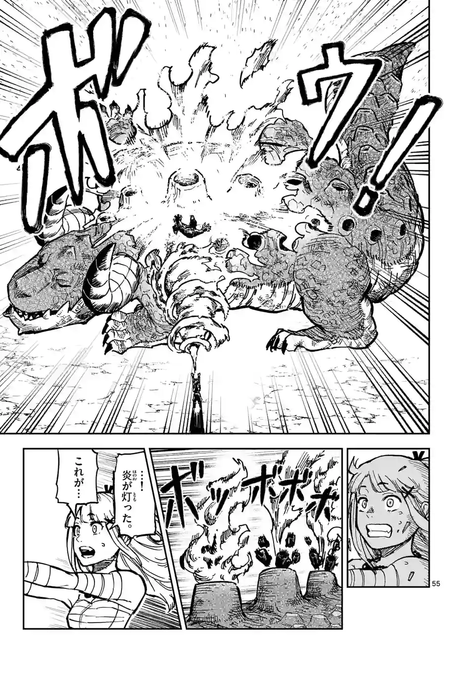 Page 55