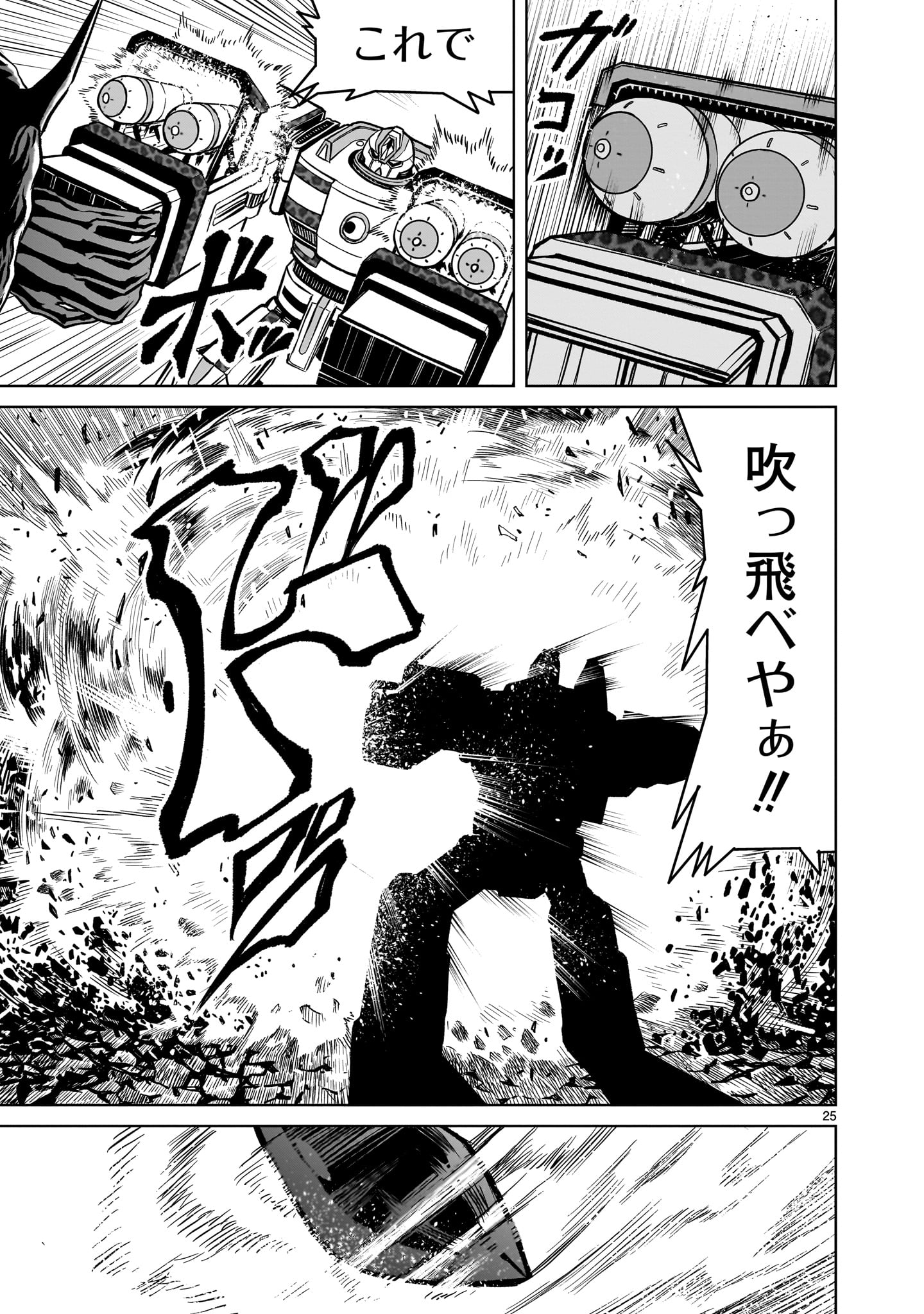 Page 25