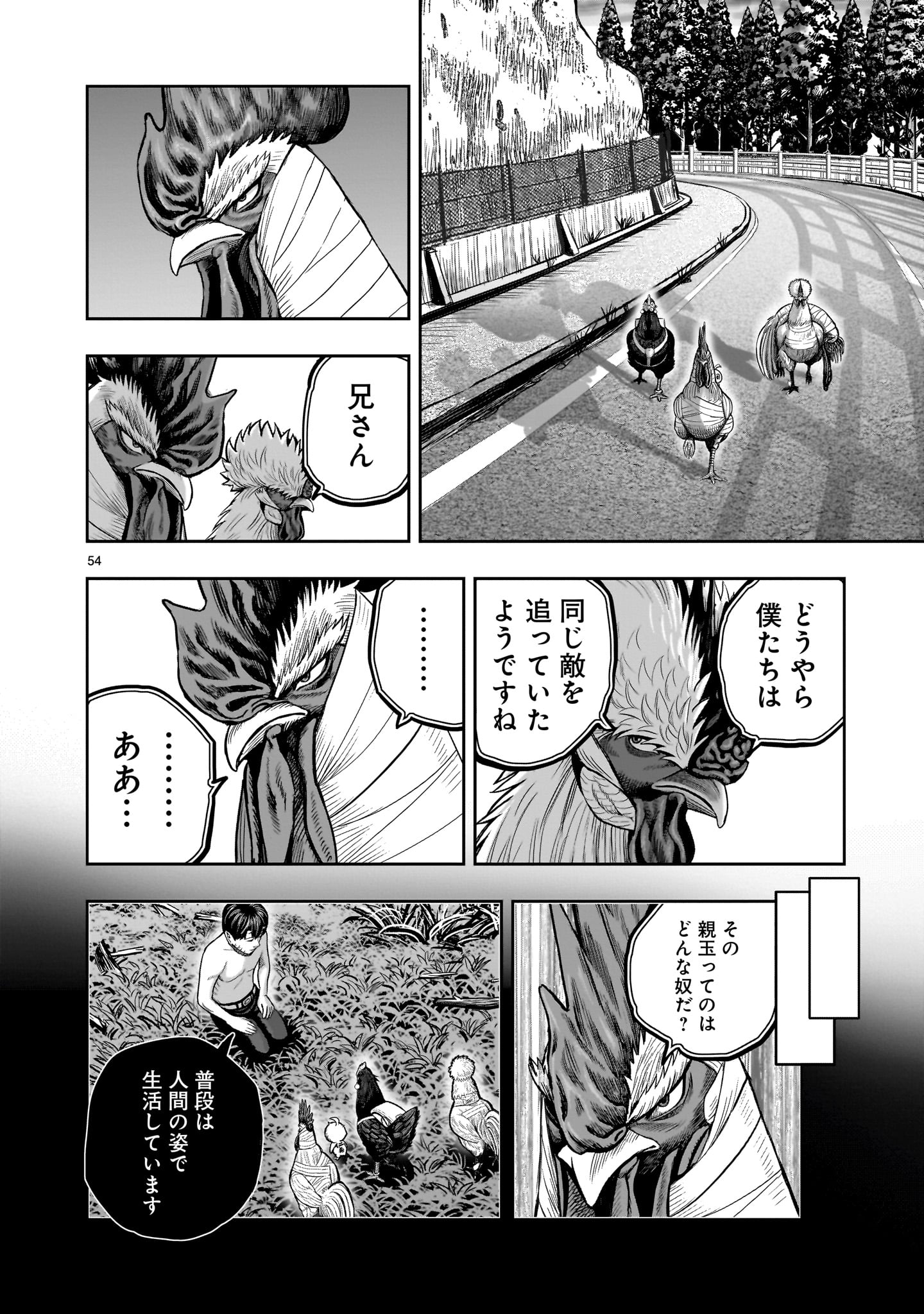Page 54