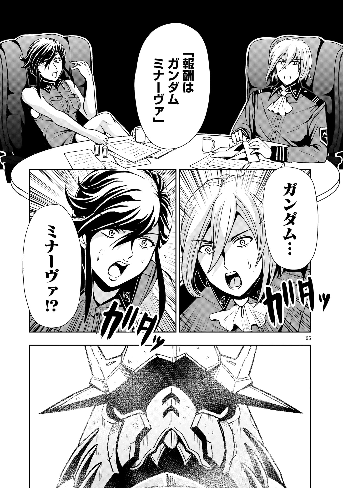 Page 25
