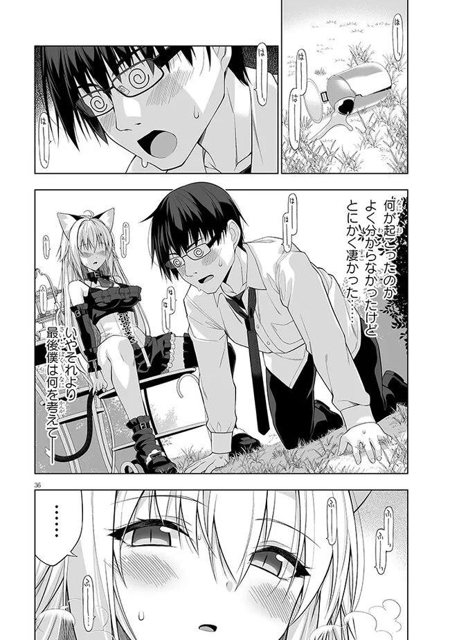 Page 36