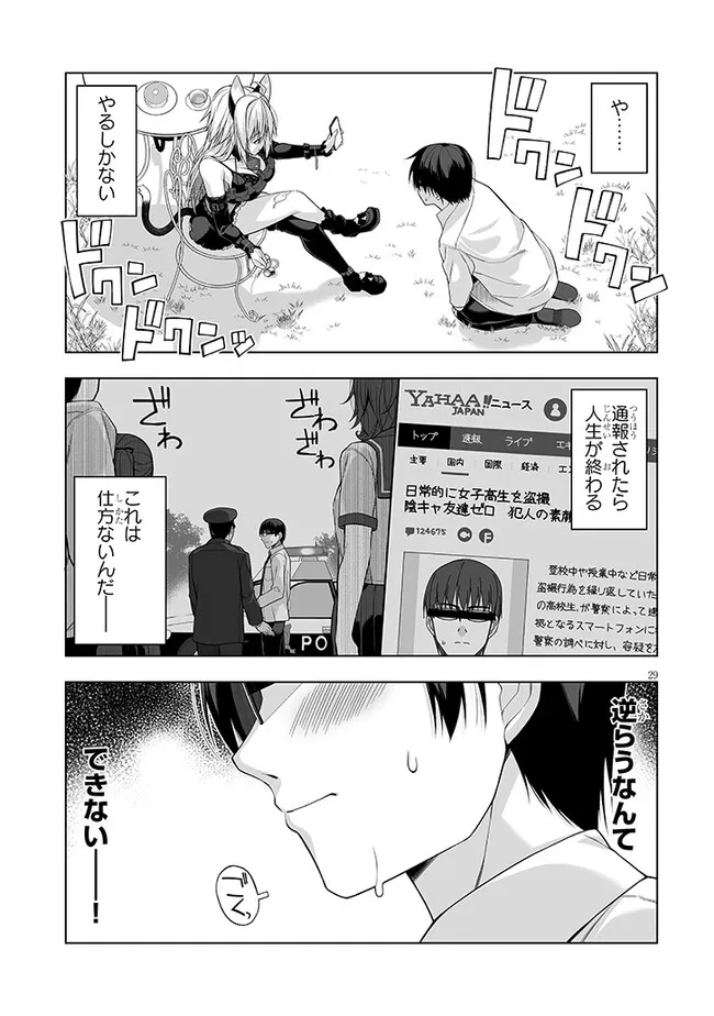 Page 29