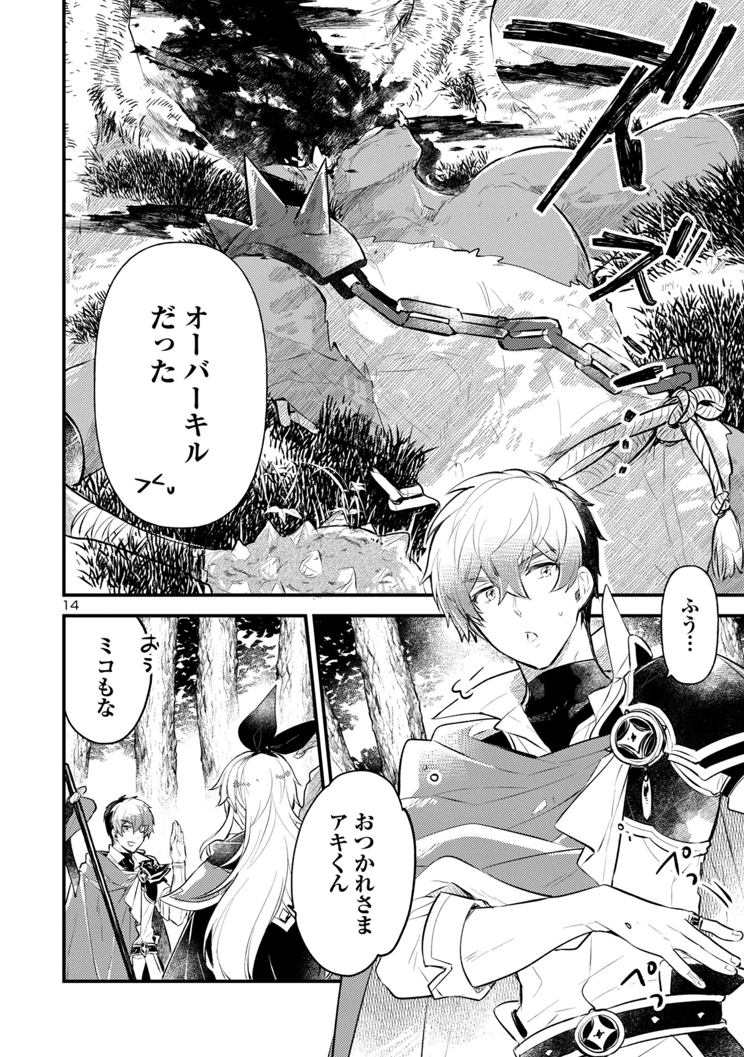 Page 14