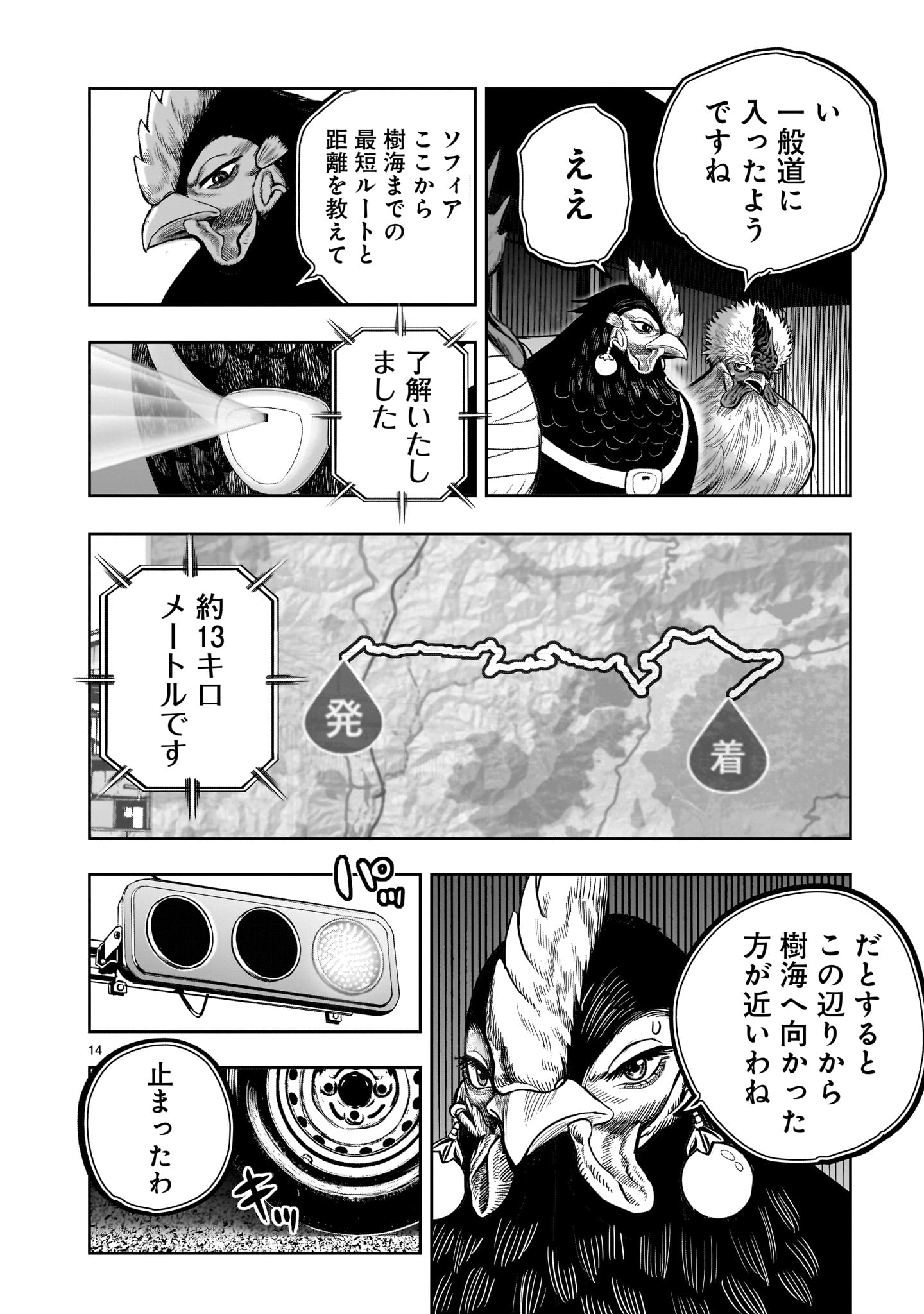 Page 14