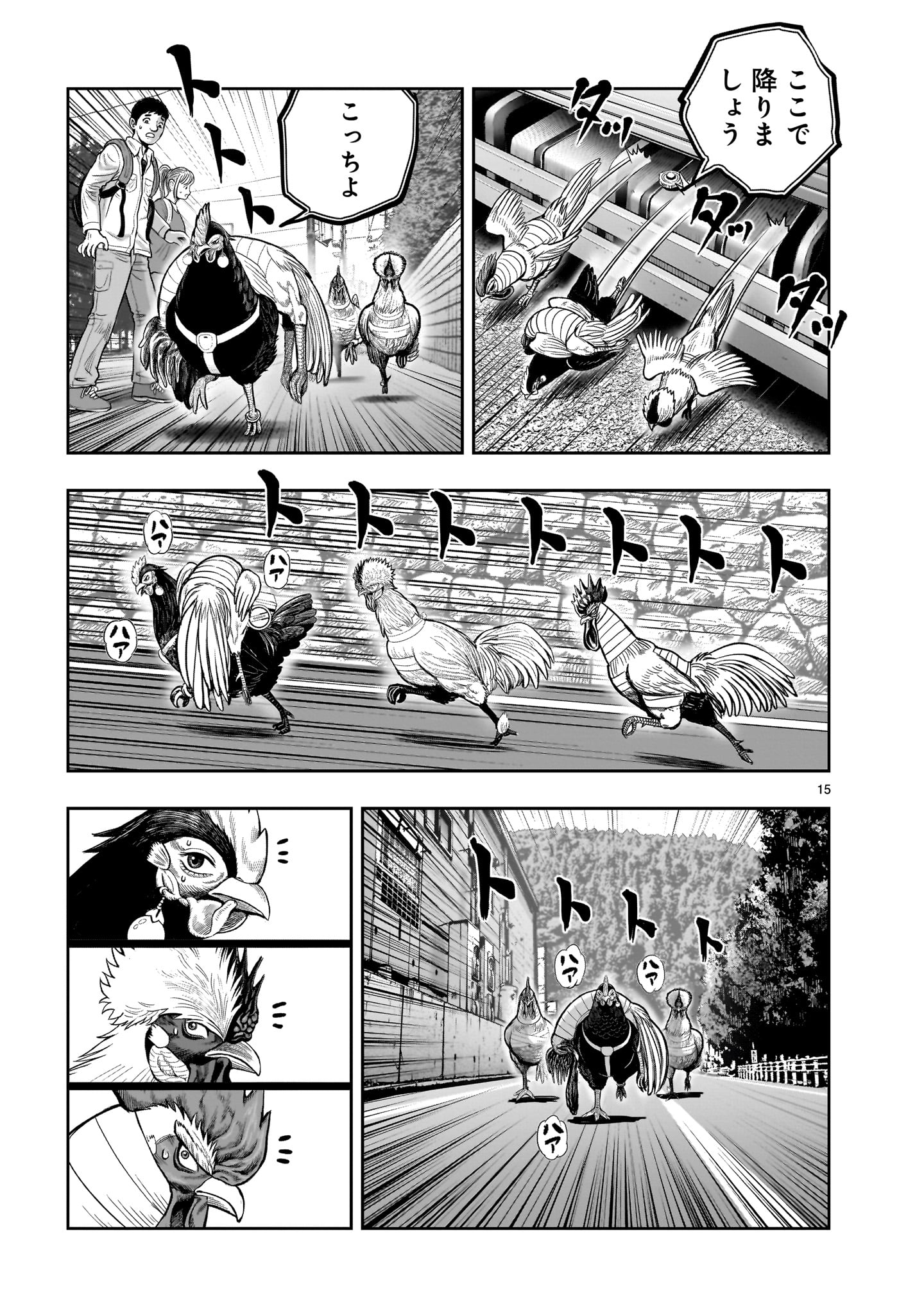 Page 15