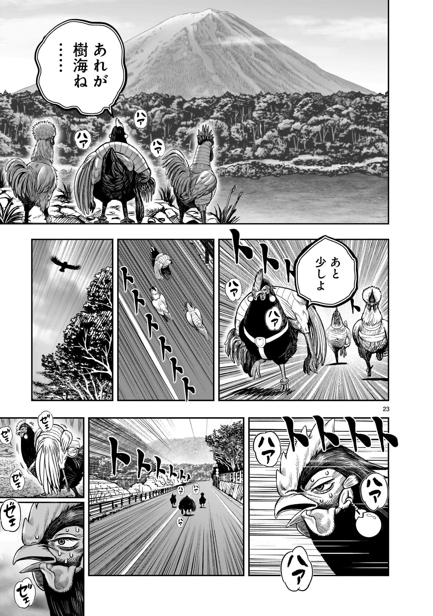 Page 23