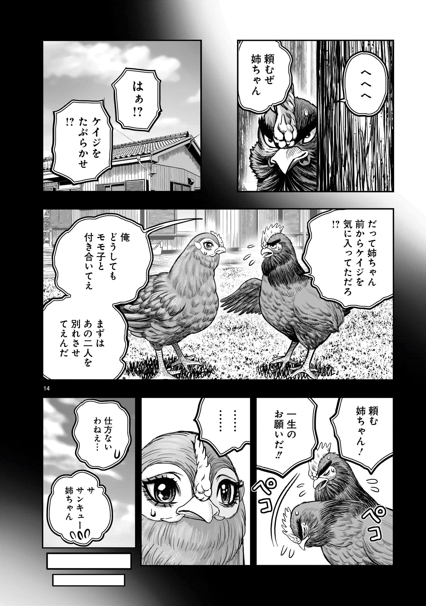 Page 14