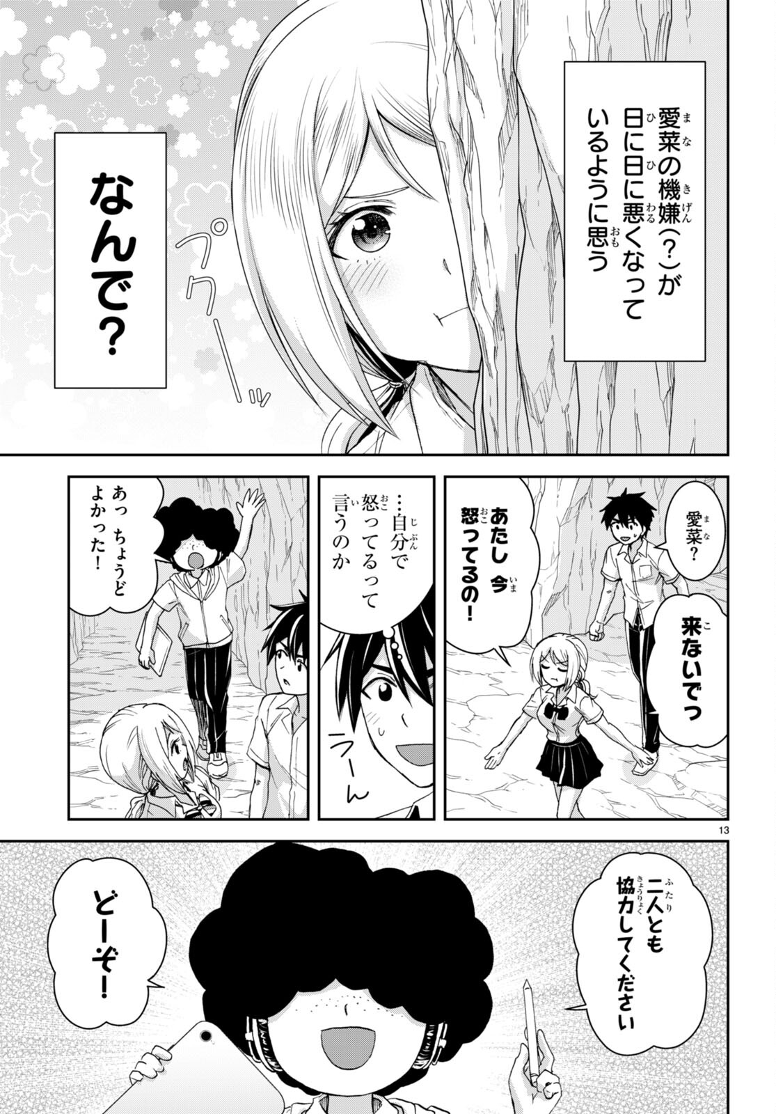 Page 13