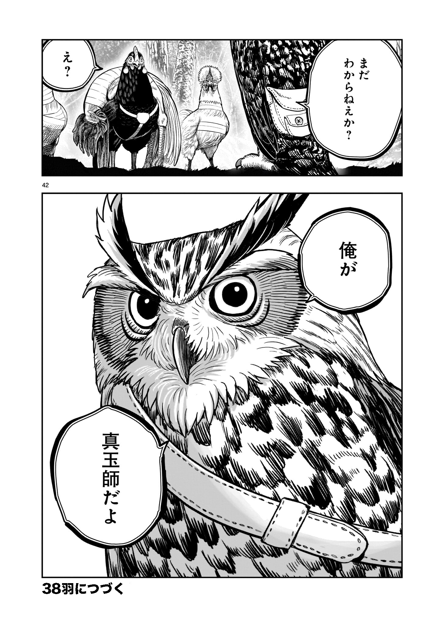 Page 42