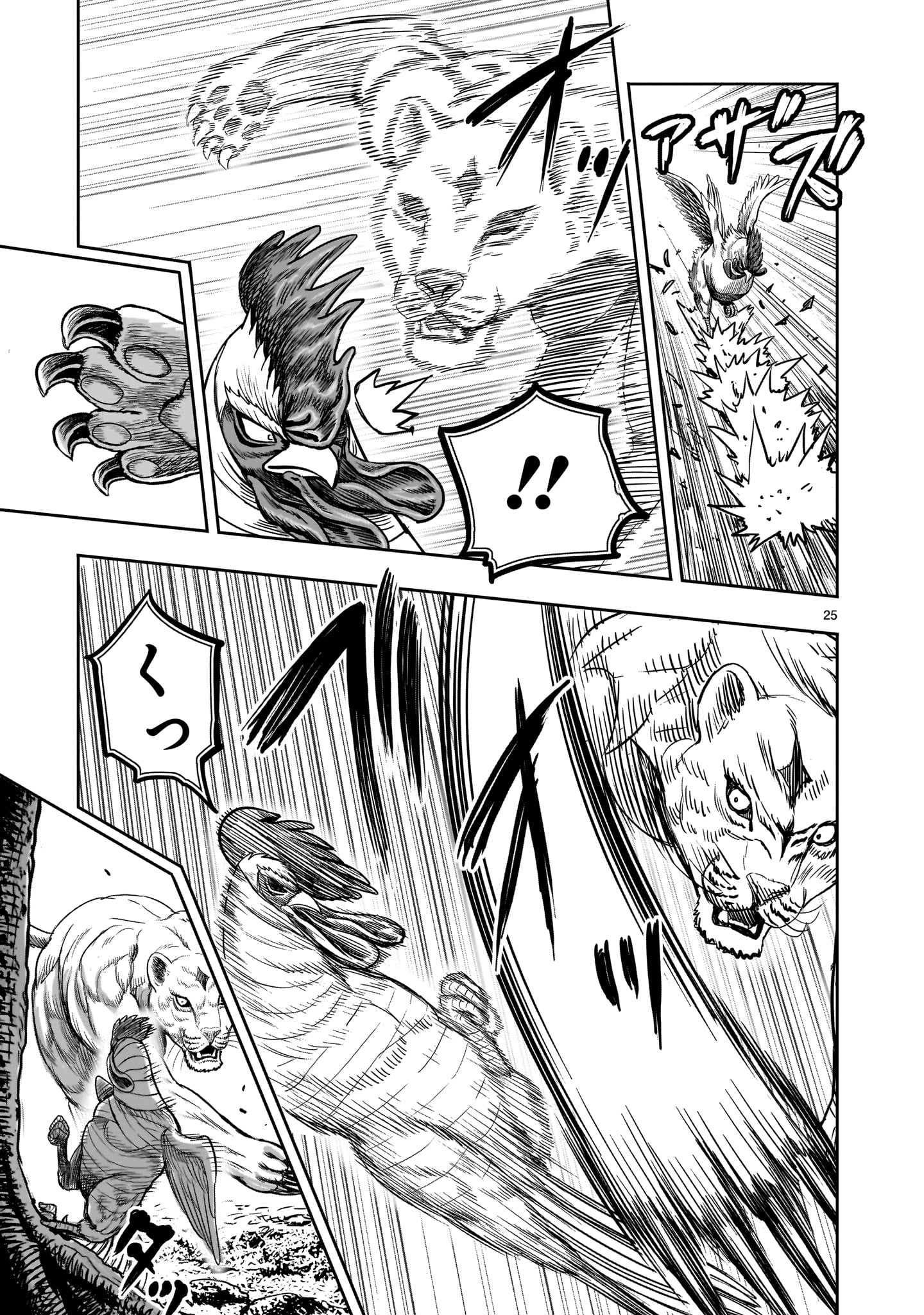 Page 25