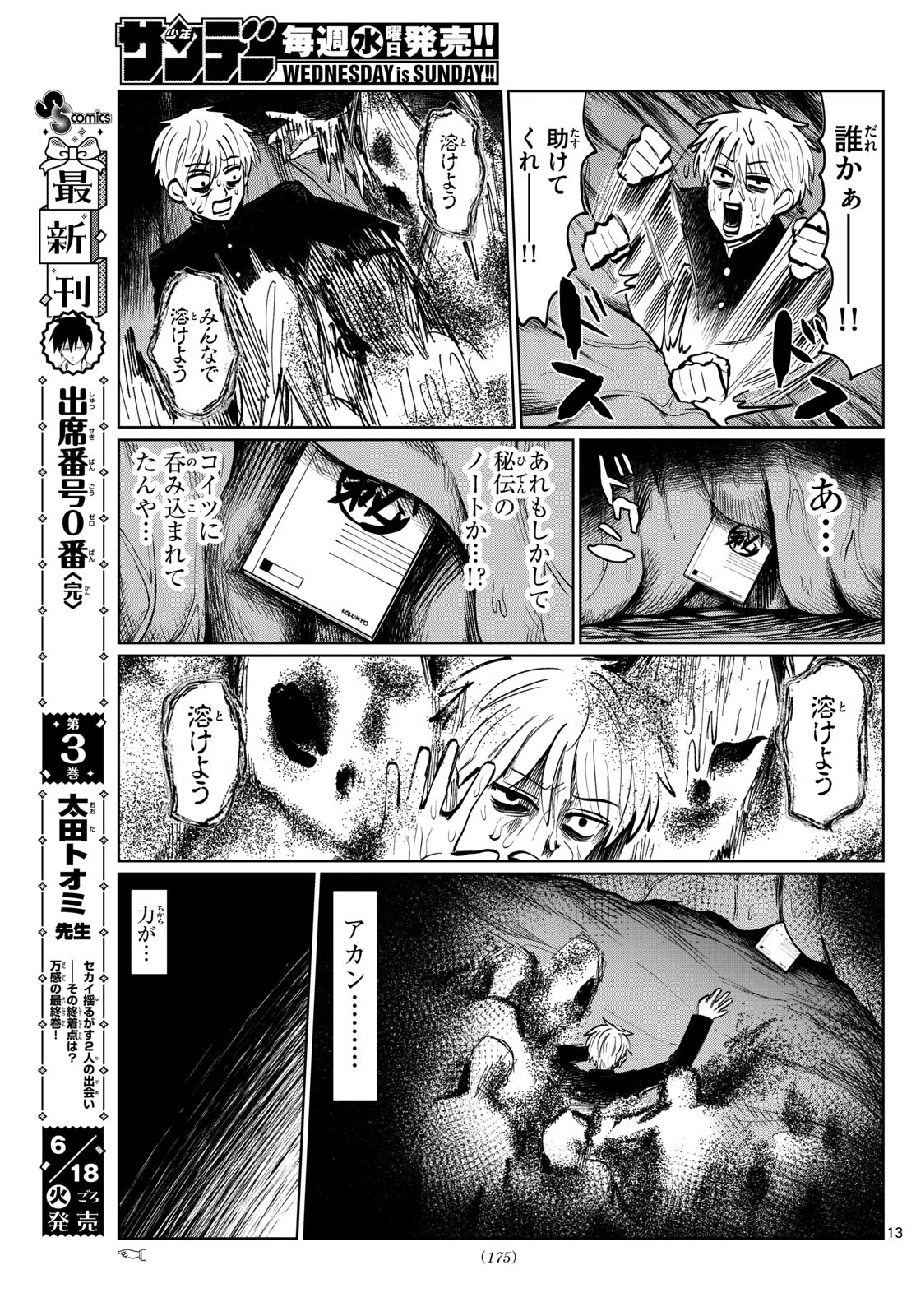 Page 13