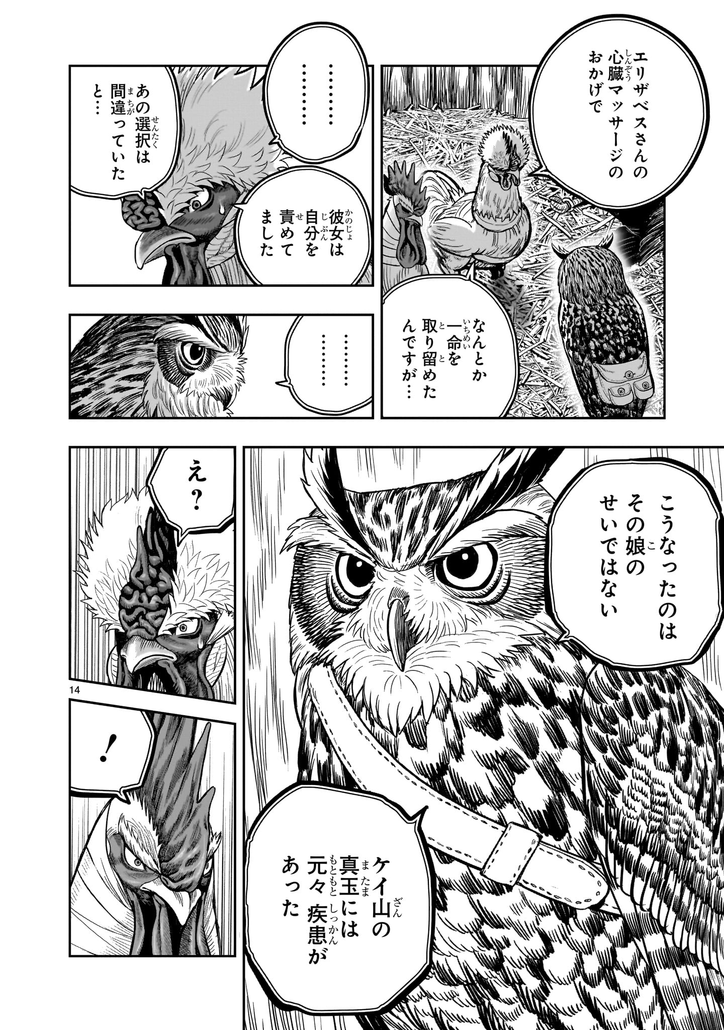 Page 14