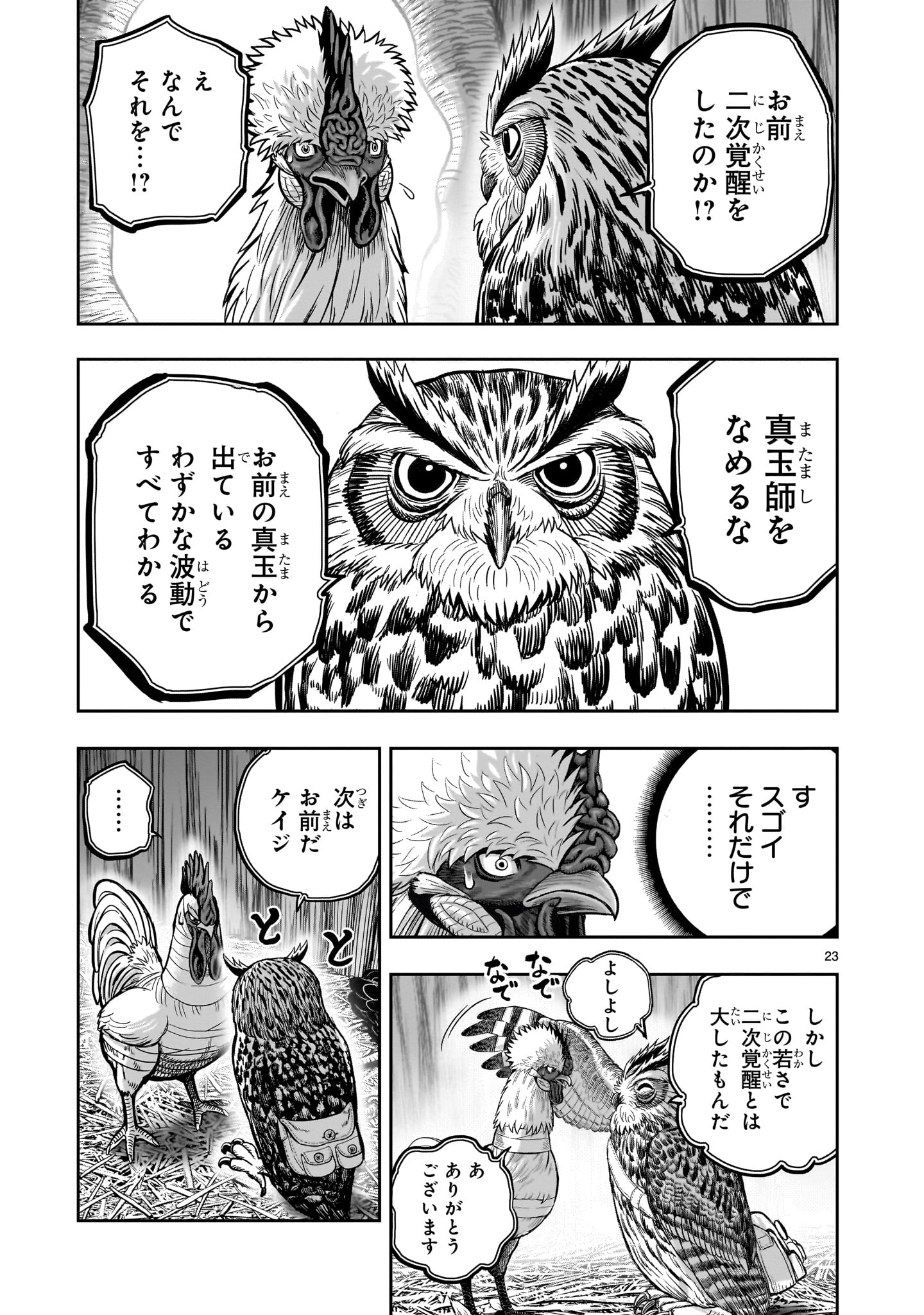 Page 23