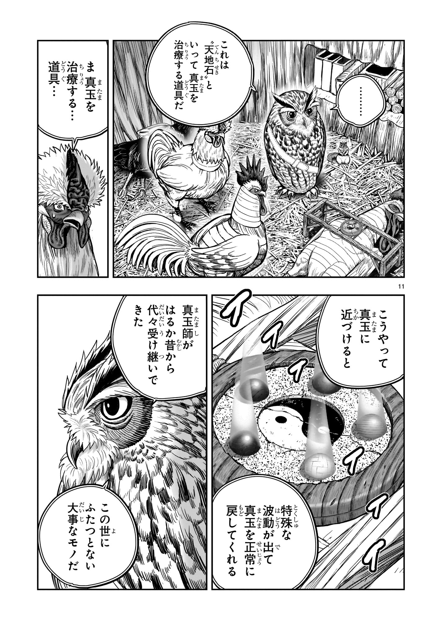Page 11