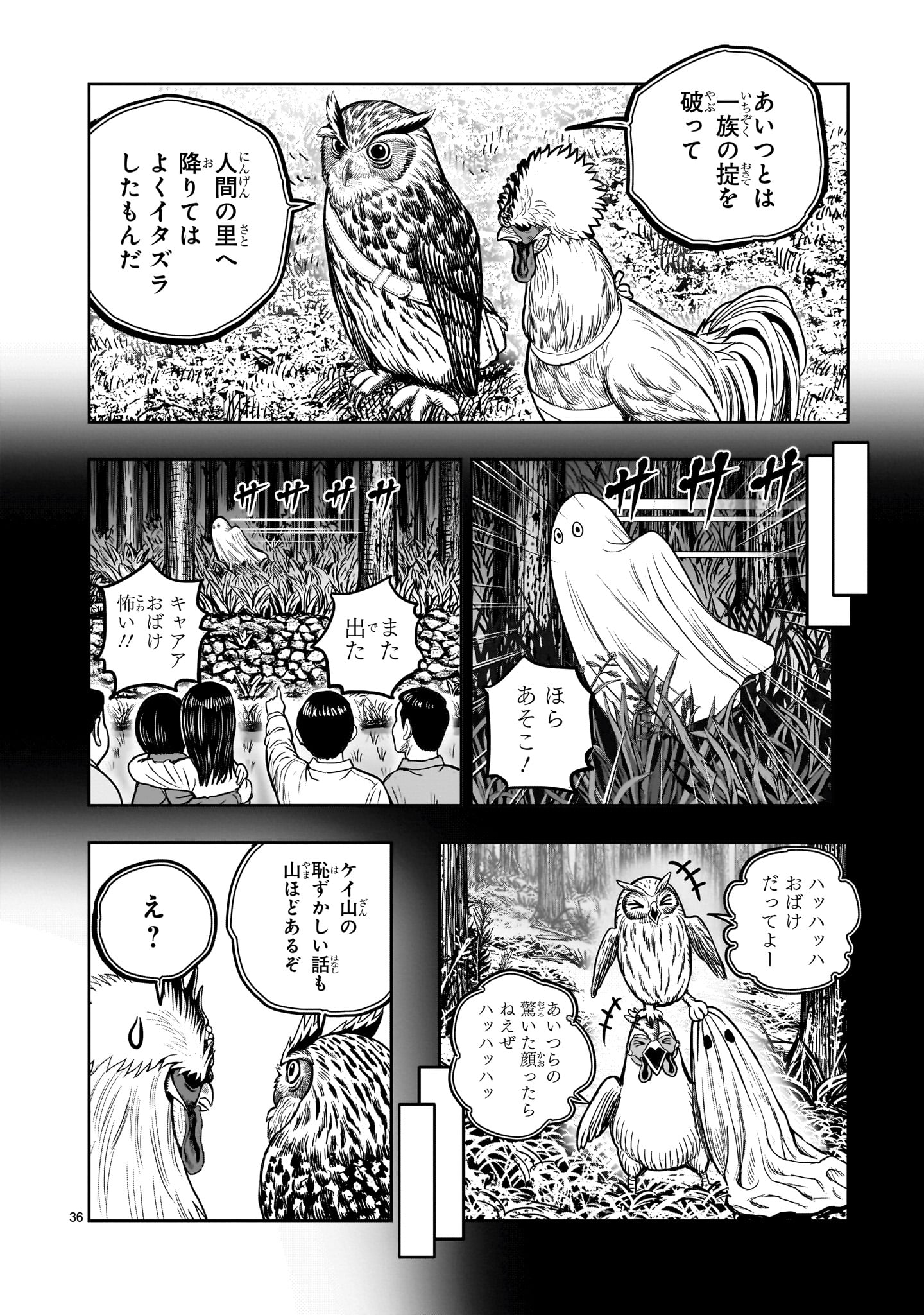 Page 36
