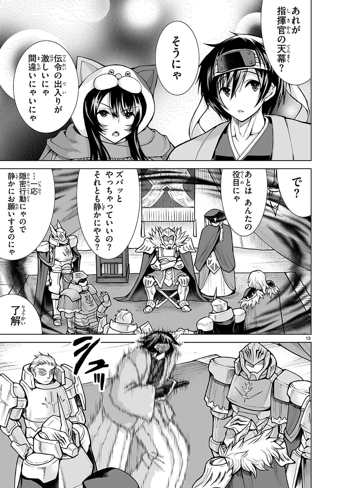 Page 13