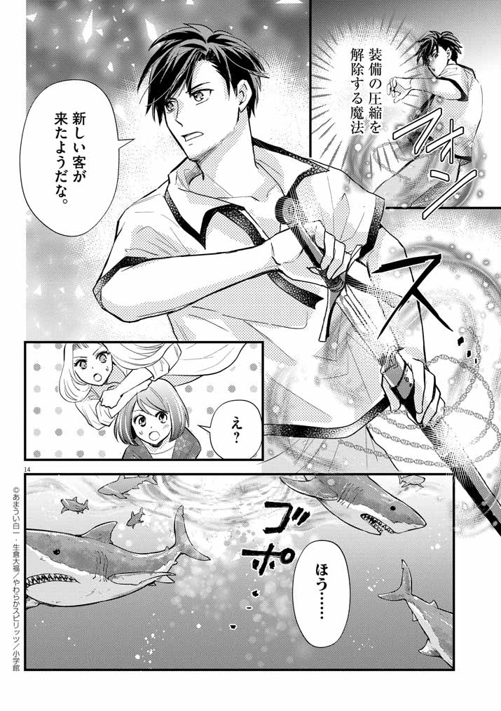 Page 14