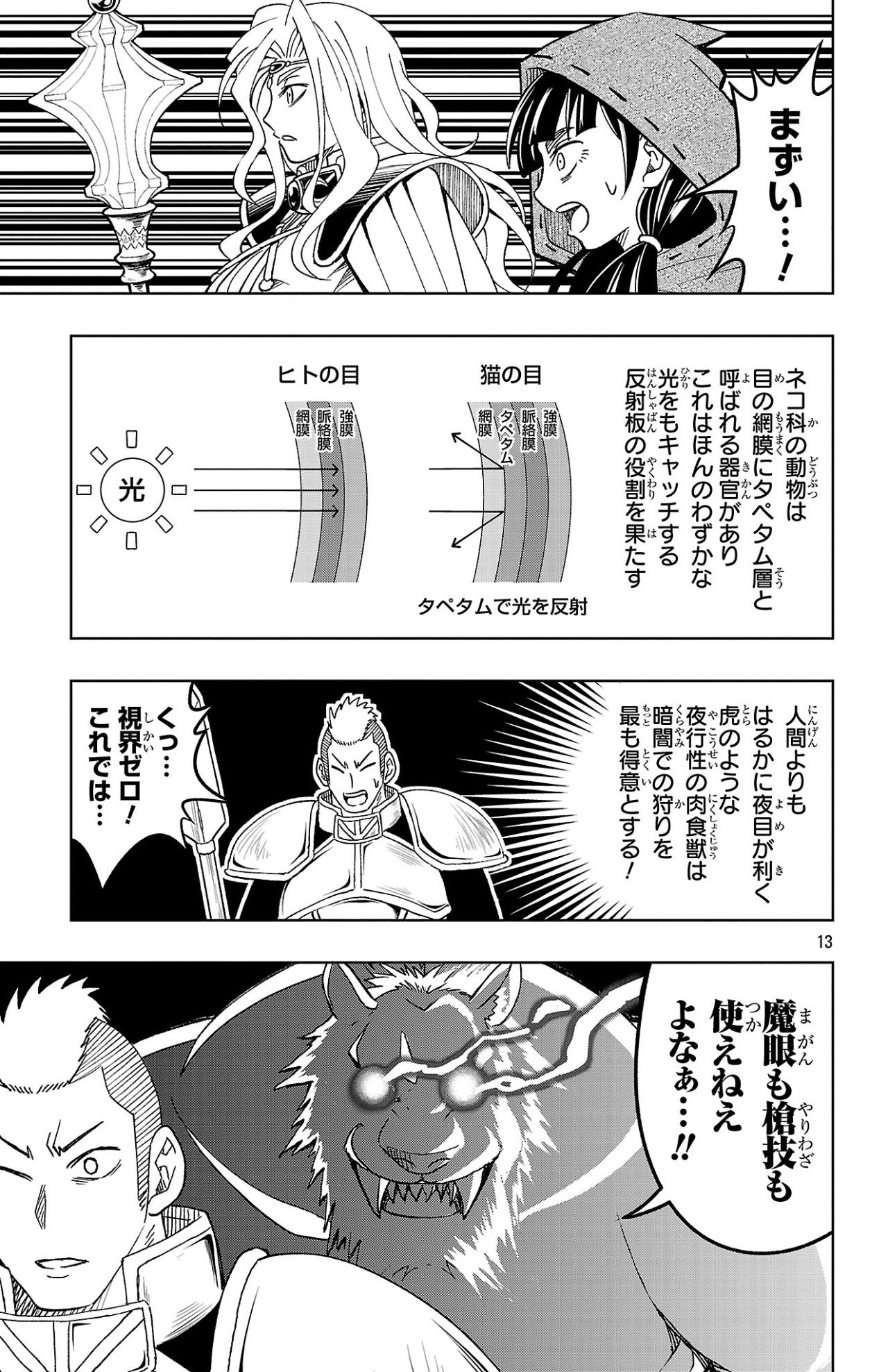 Page 13