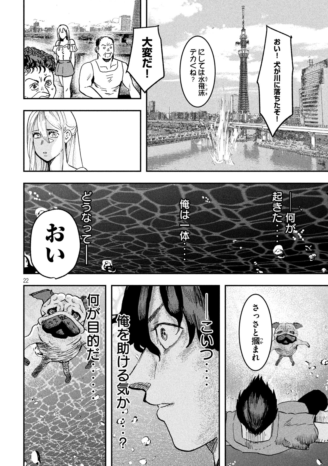 Page 22