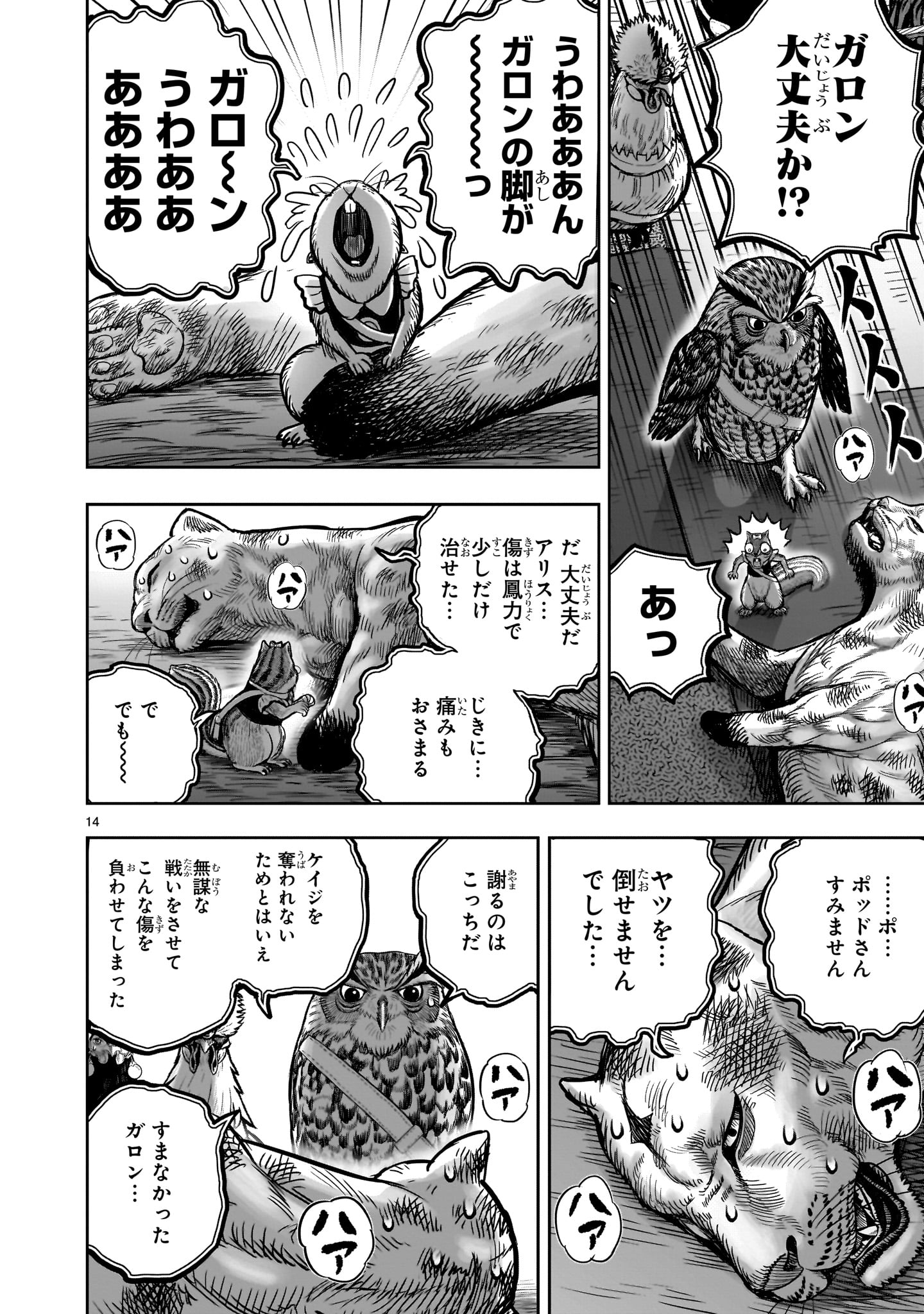 Page 14