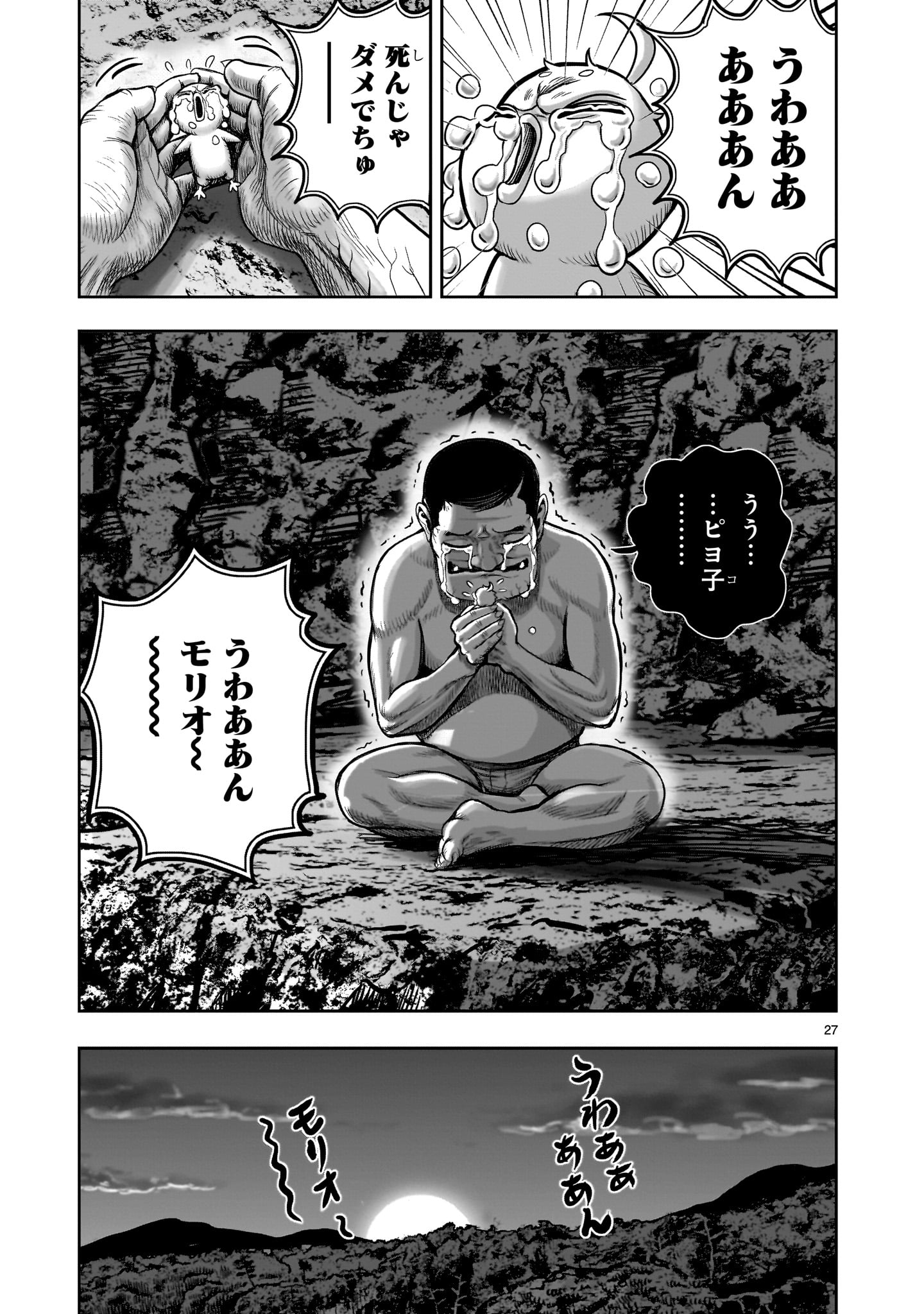 Page 27