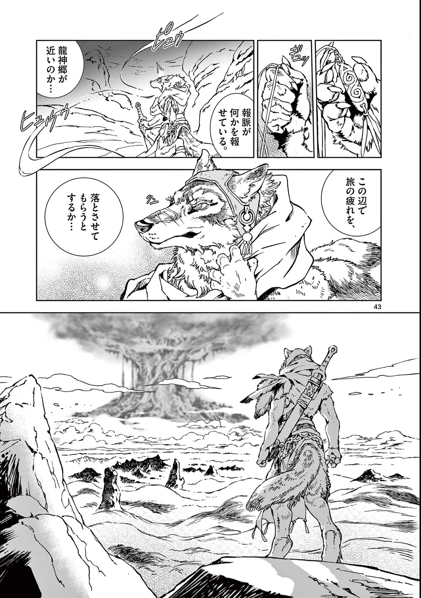Page 43
