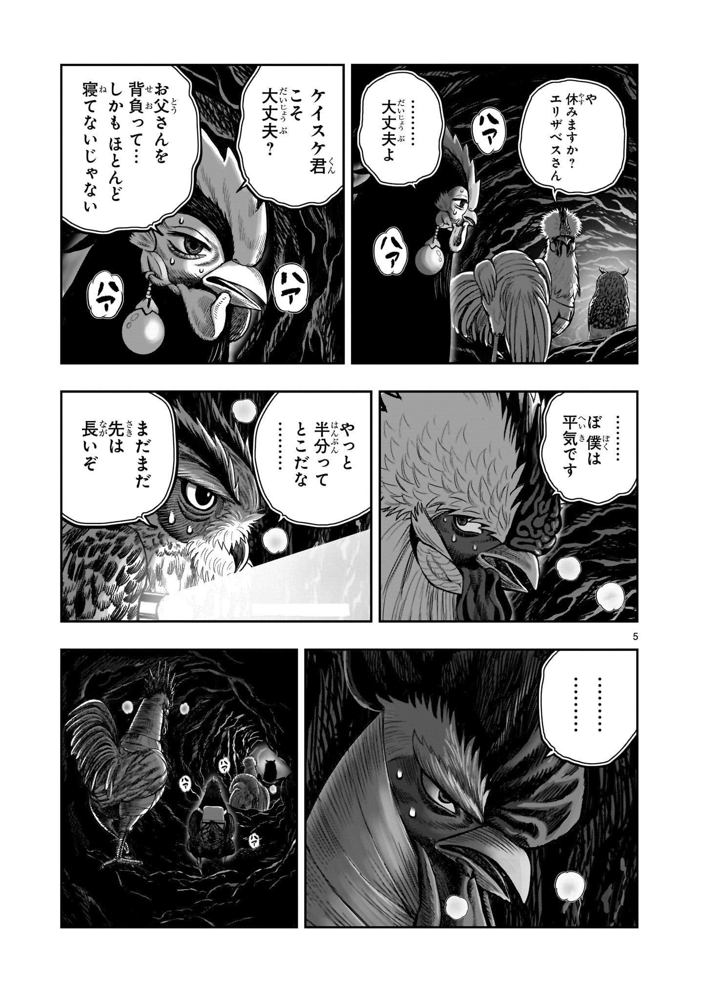 Page 5