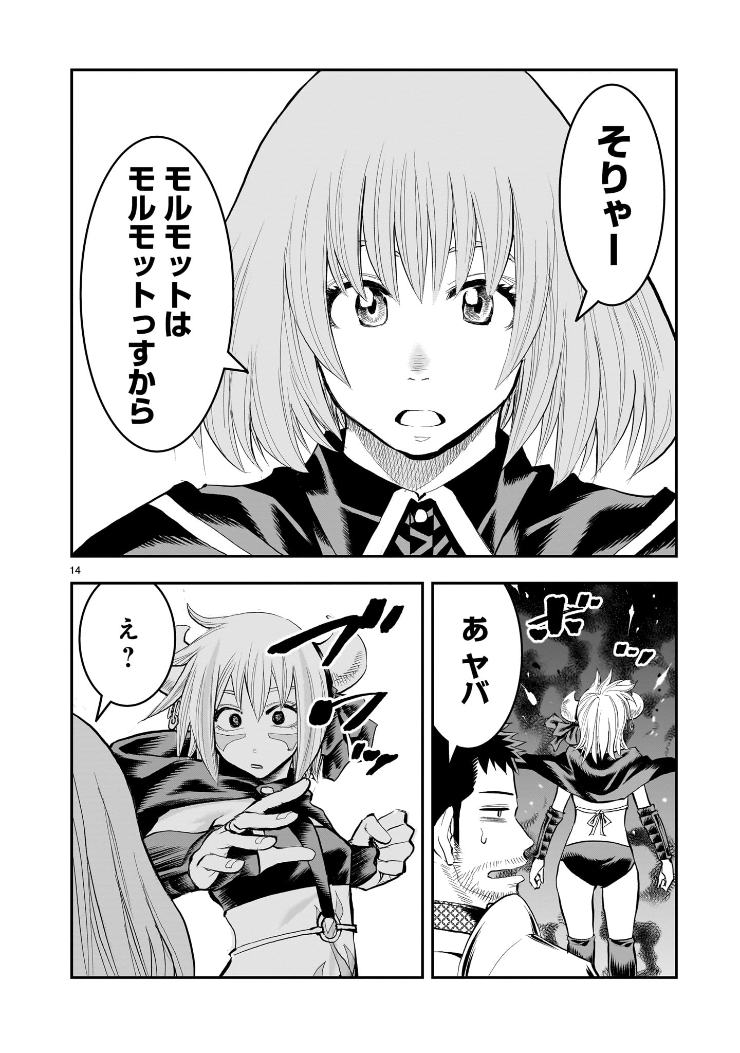Page 14