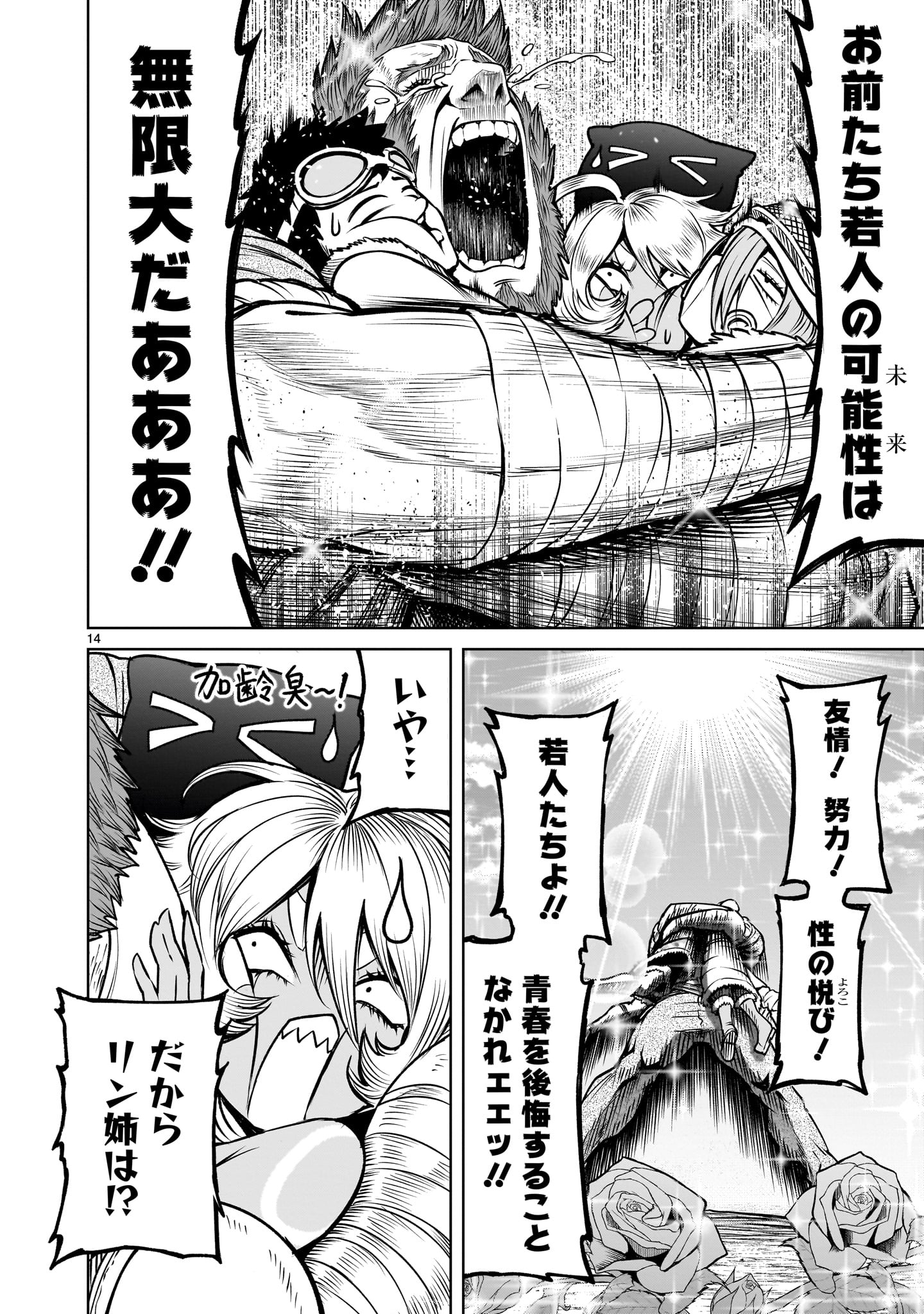 Page 14