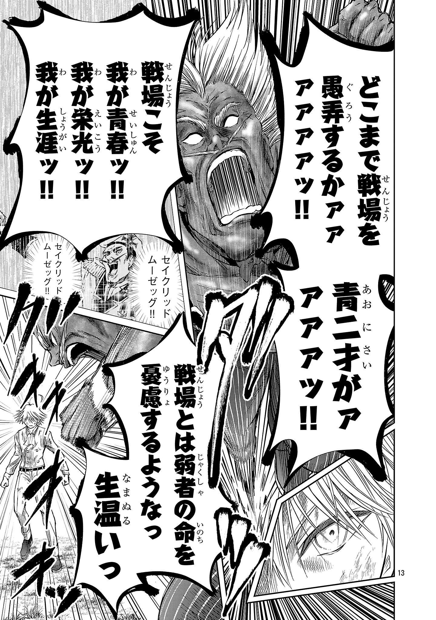 Page 13