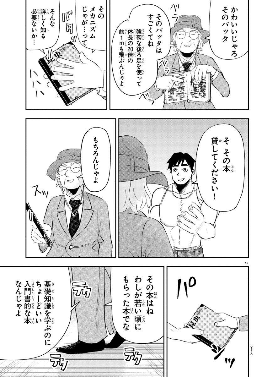 Page 17