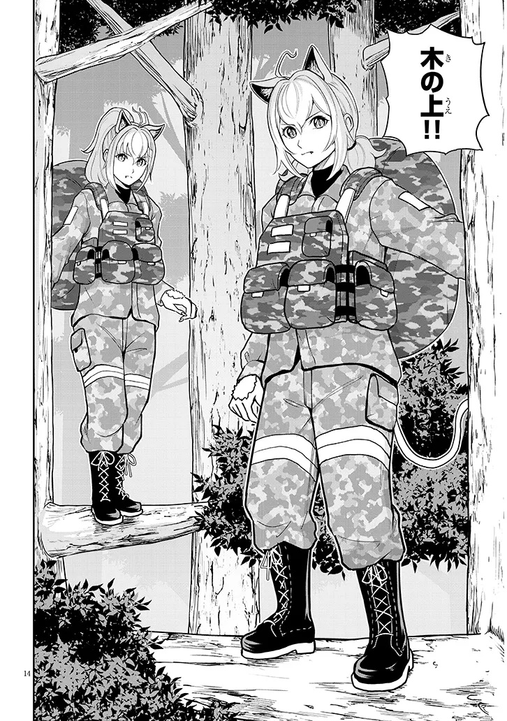 Page 14