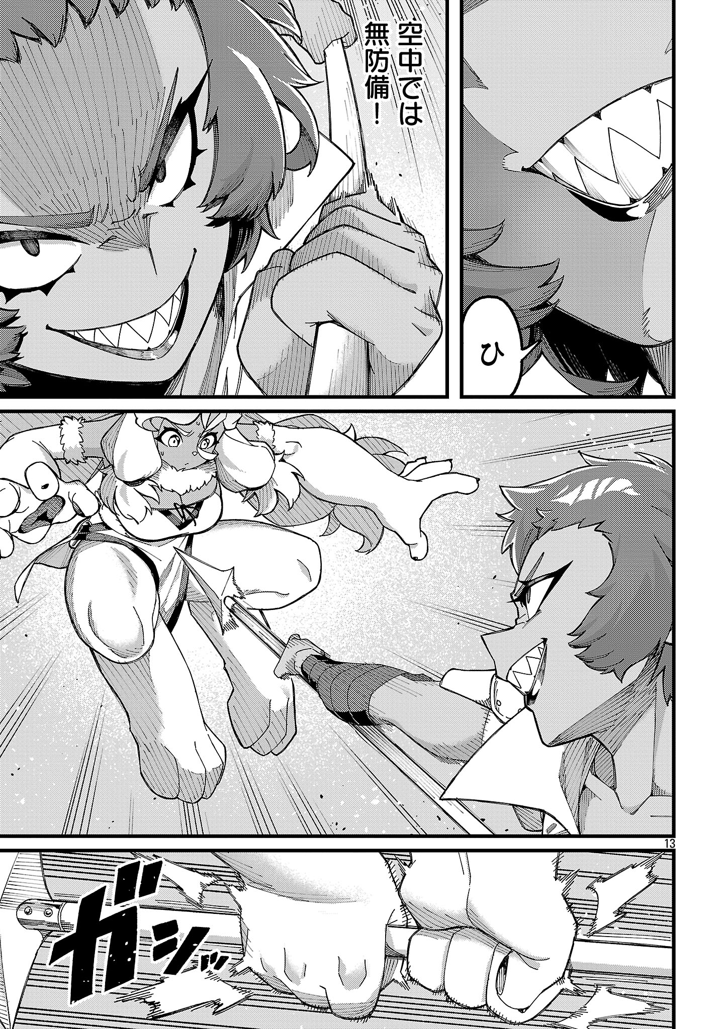 Page 13