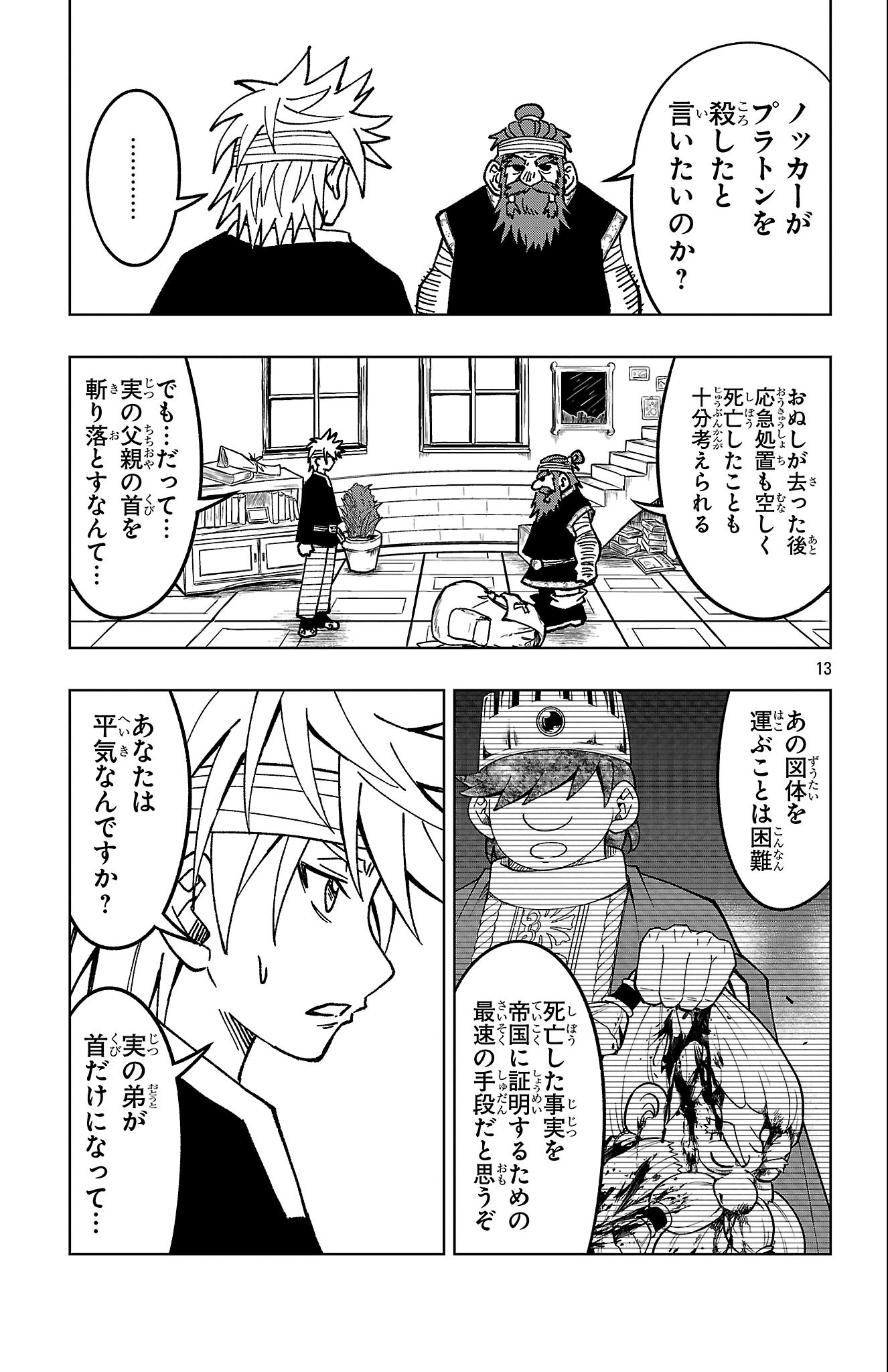 Page 13