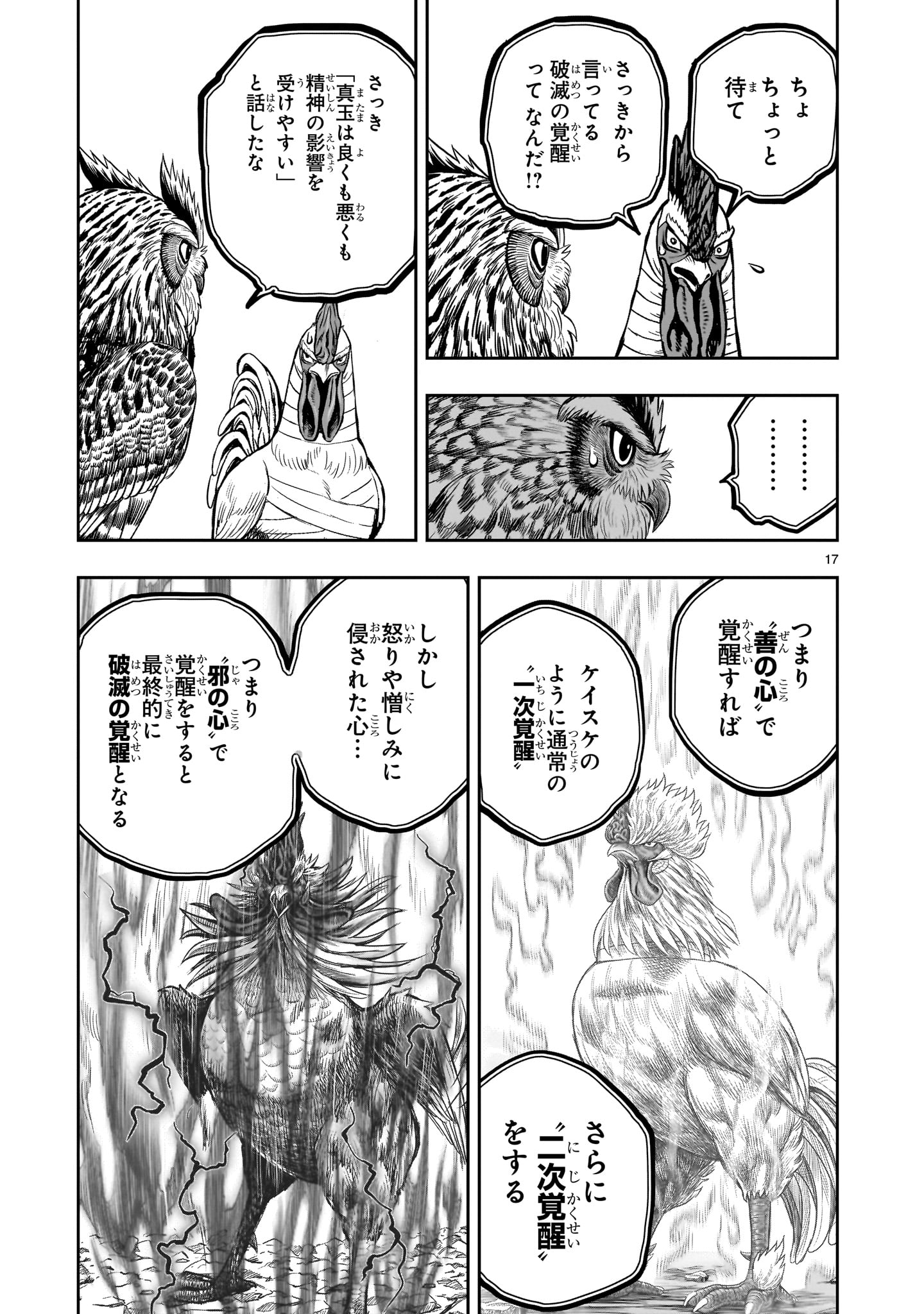 Page 17