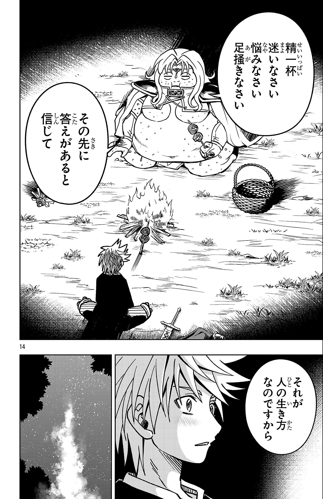 Page 14