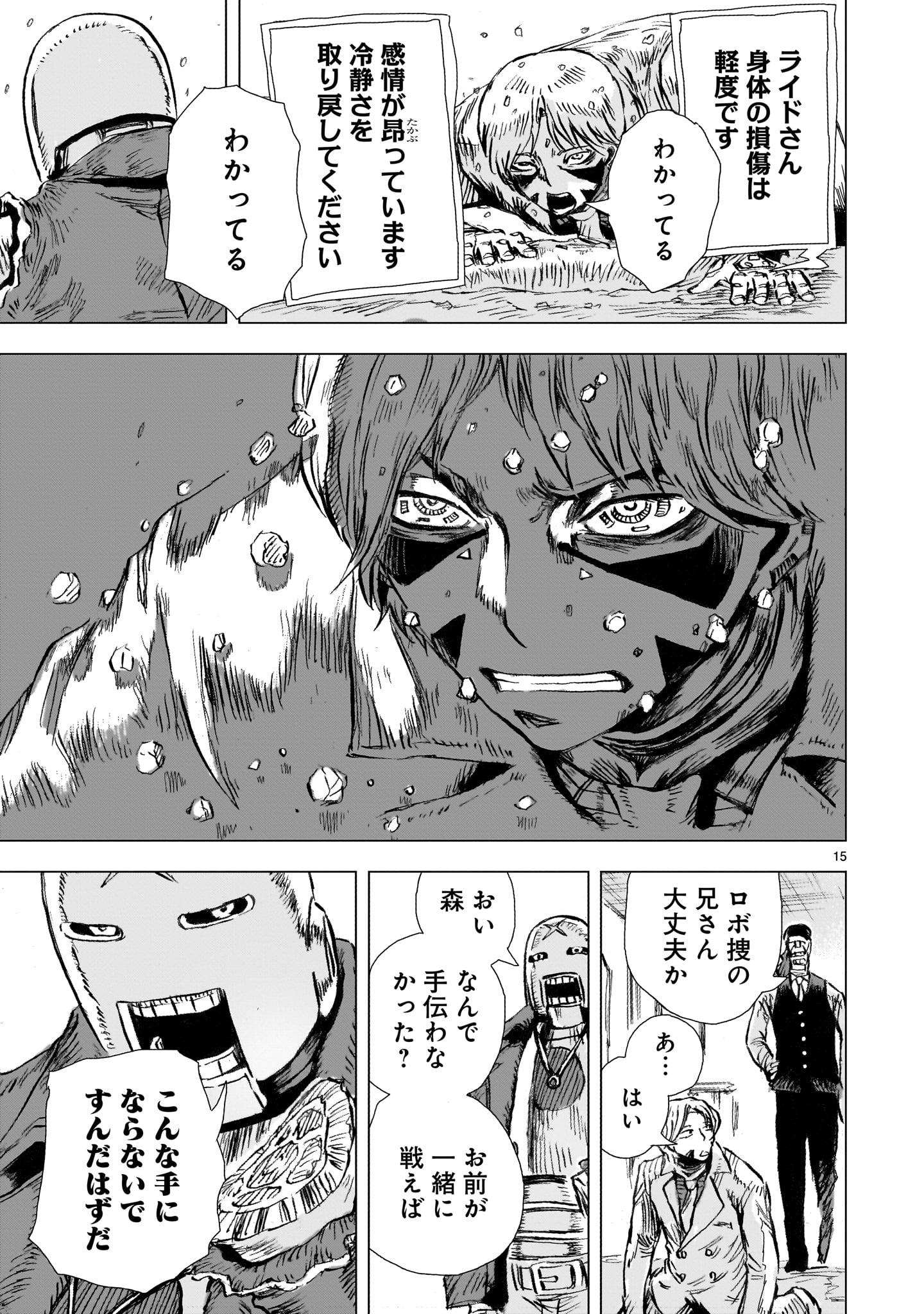 Page 15