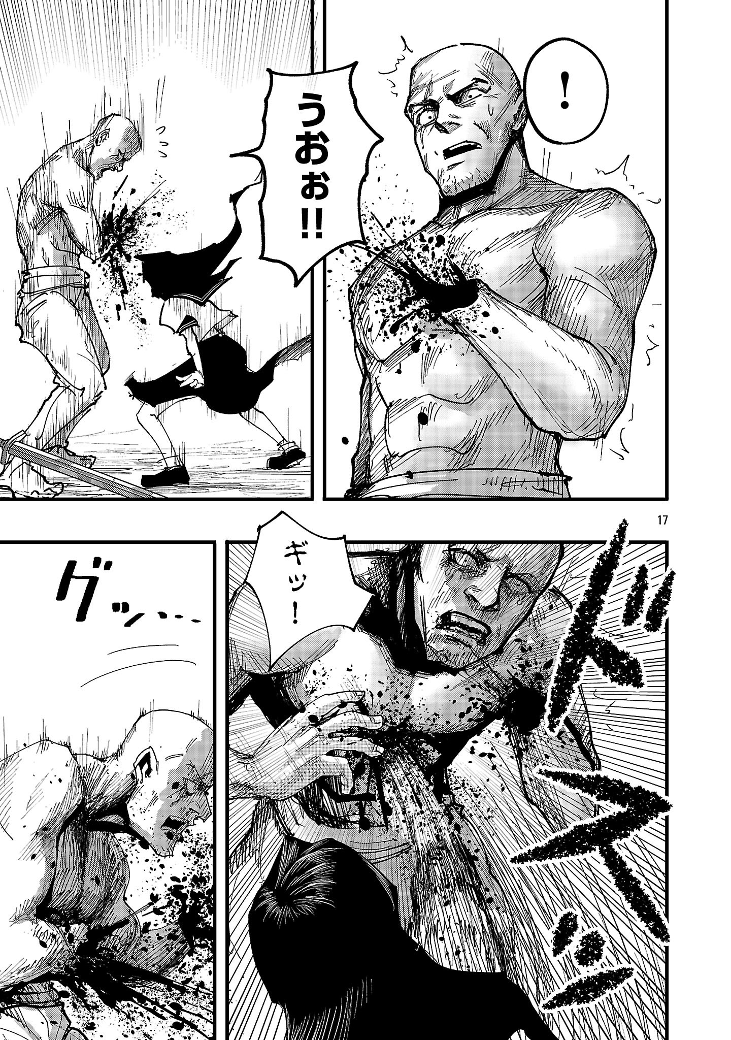 Page 17