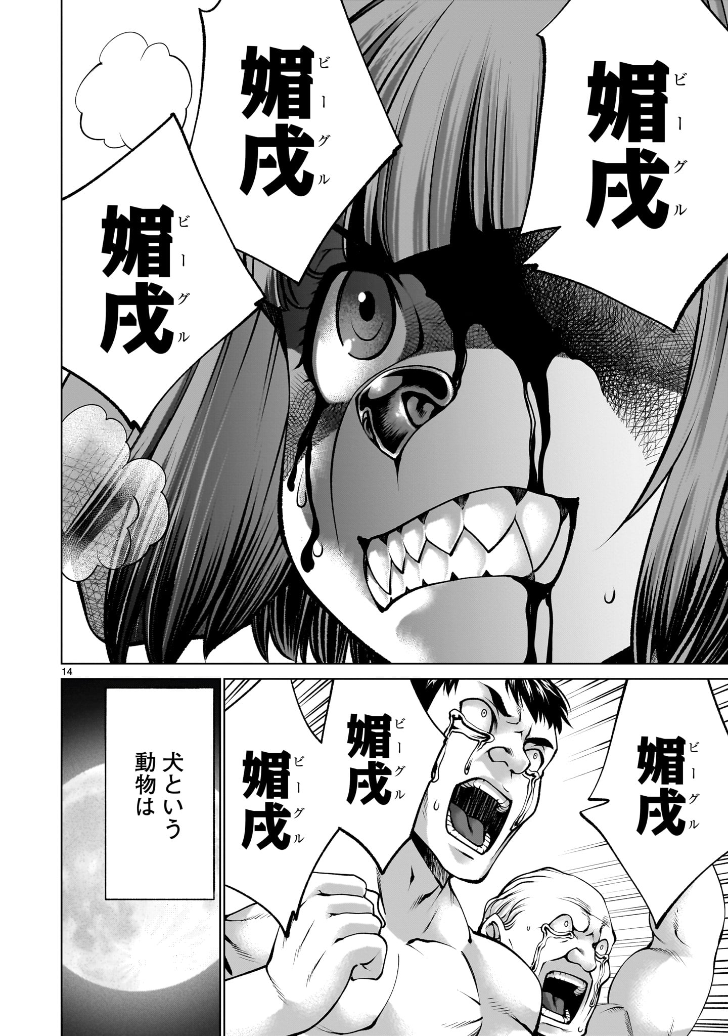 Page 14