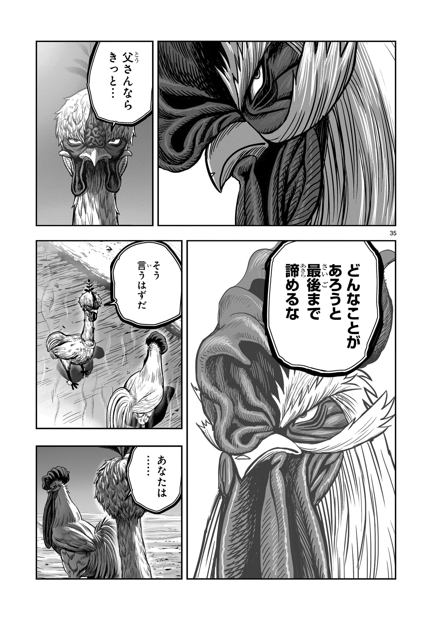 Page 35