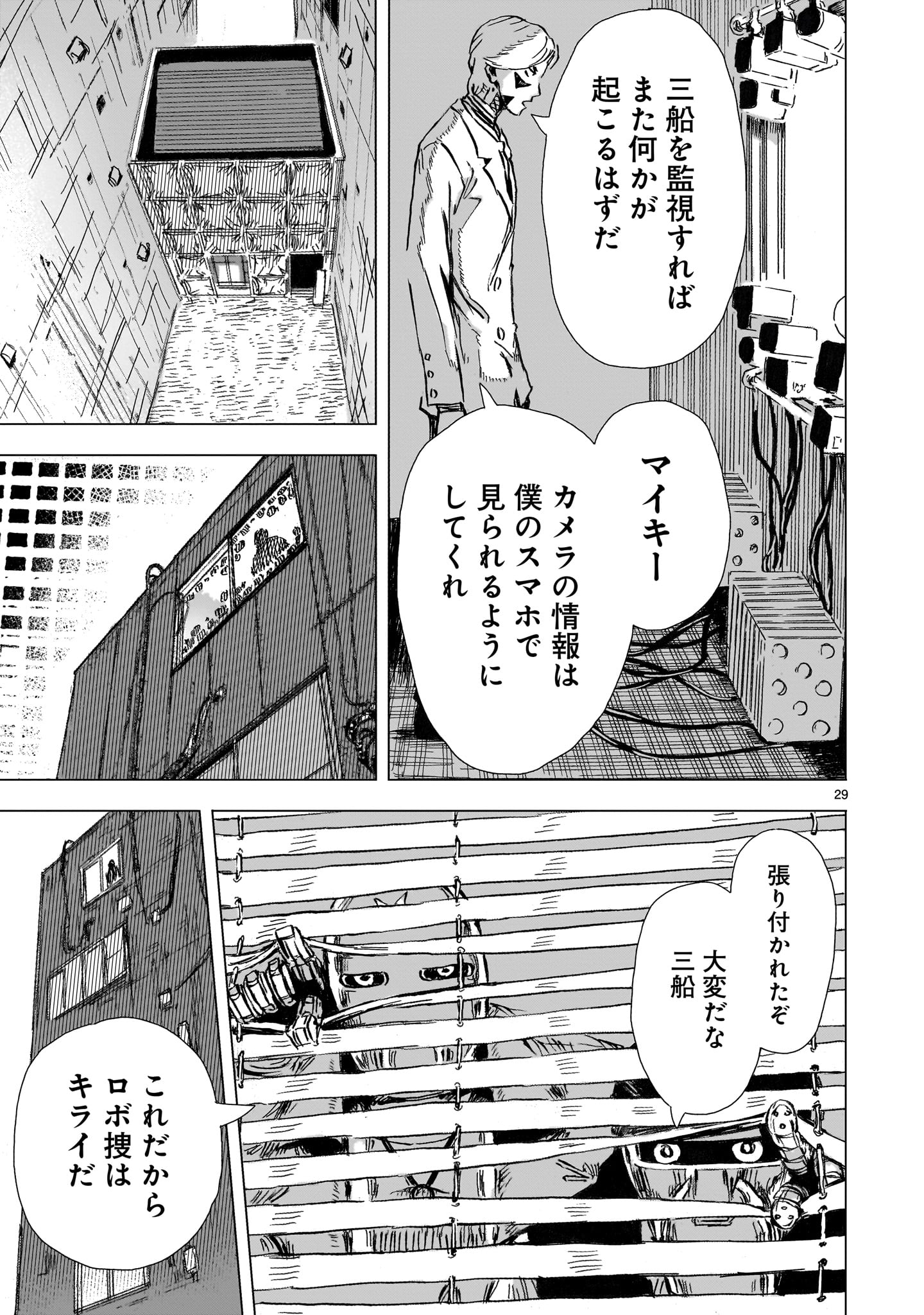 Page 29