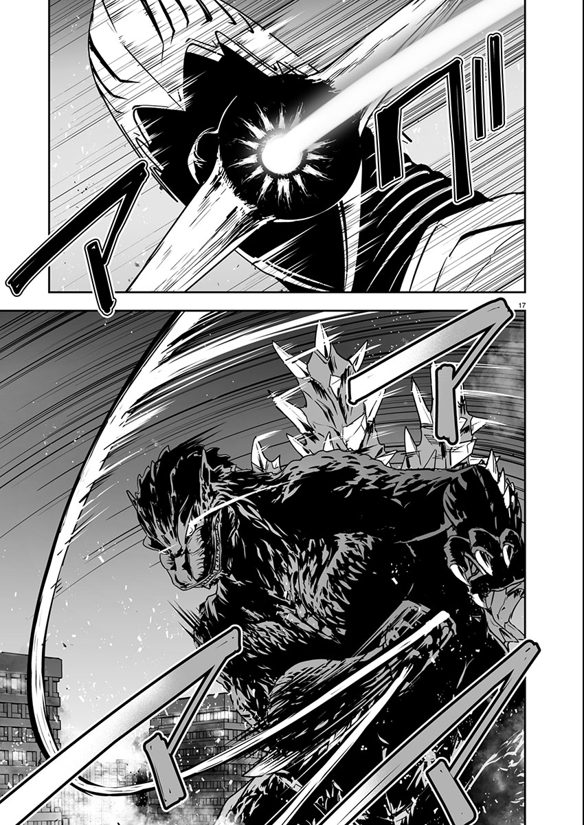 Page 17