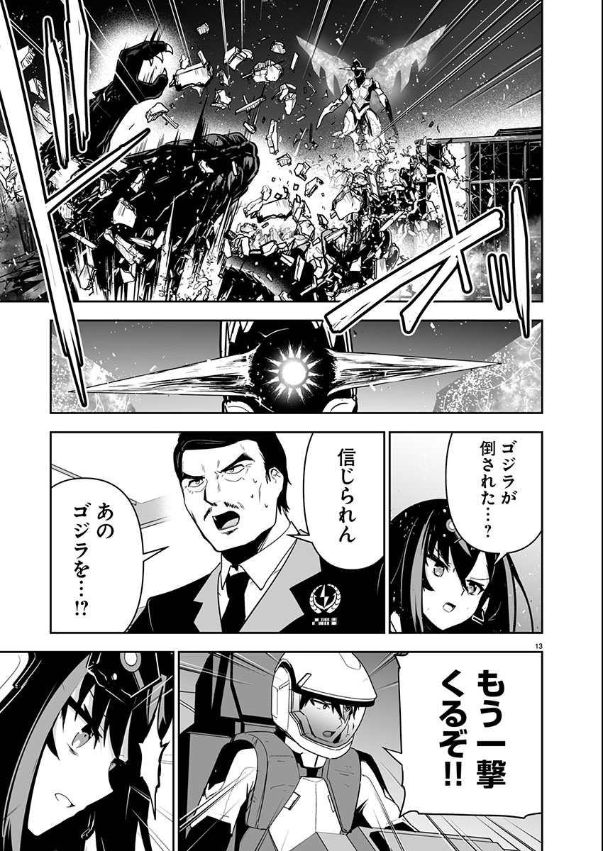 Page 13