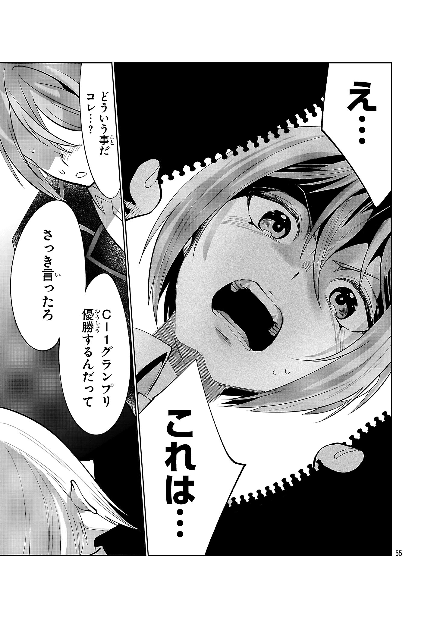 Page 55