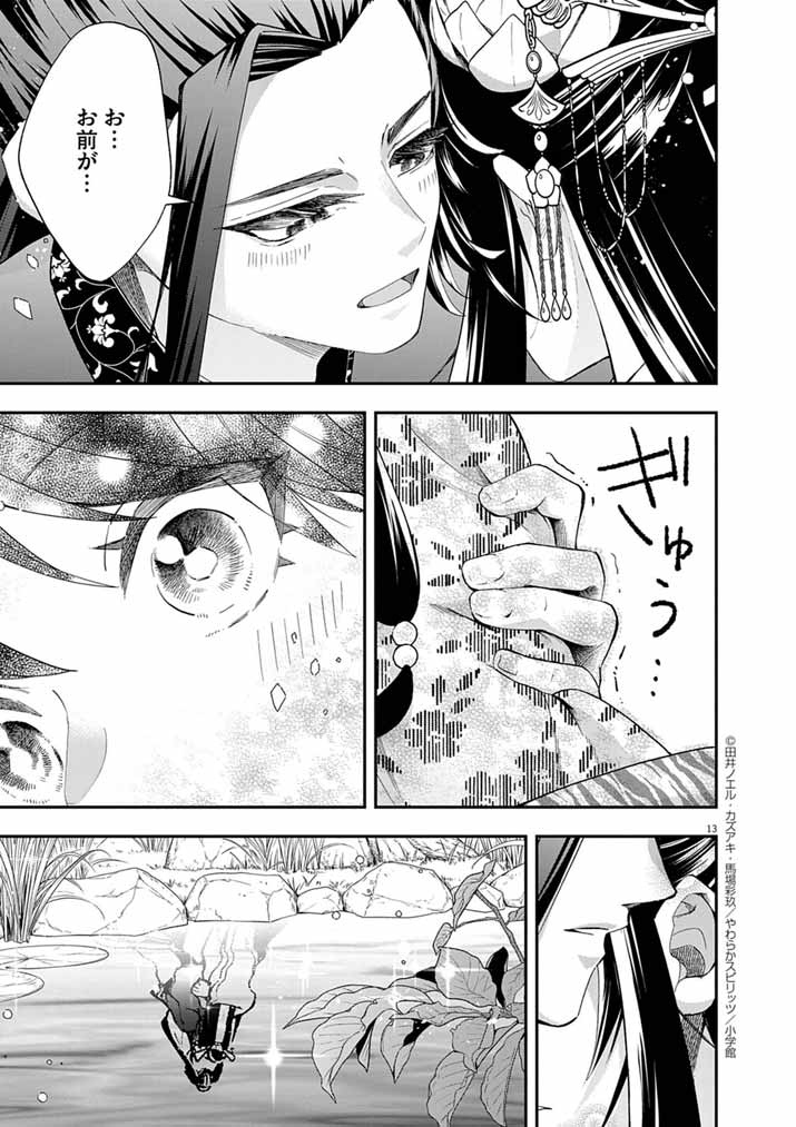 Page 13