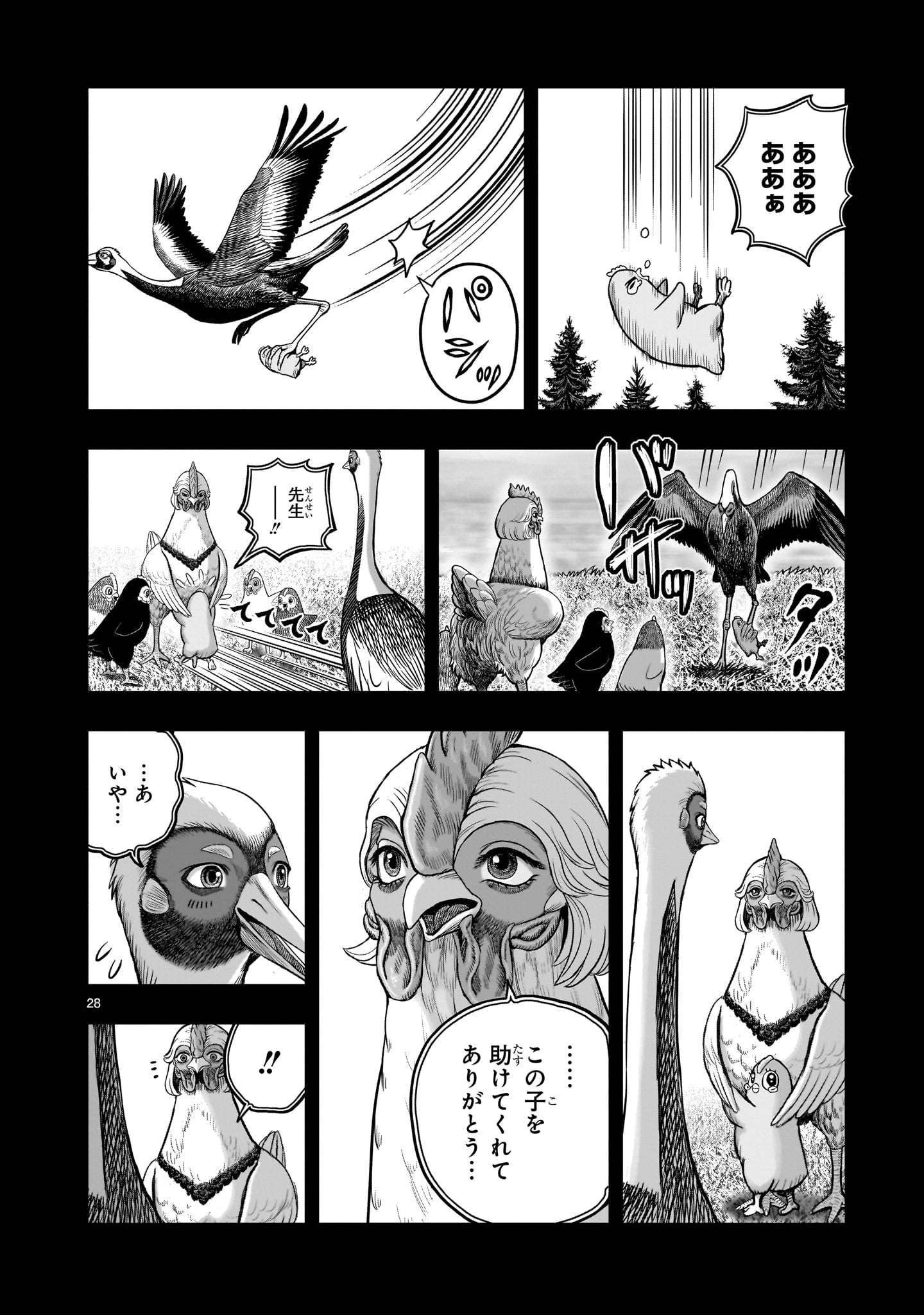 Page 28