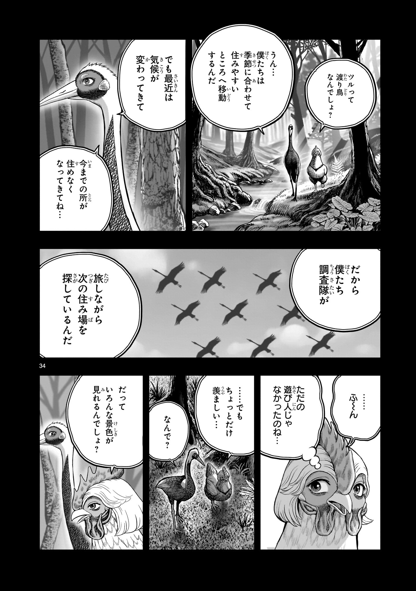 Page 34