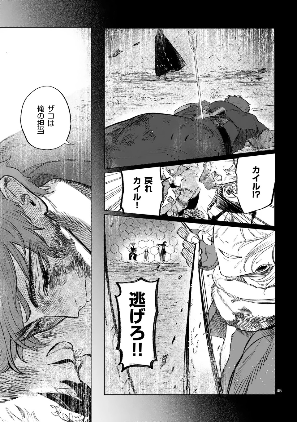 Page 45
