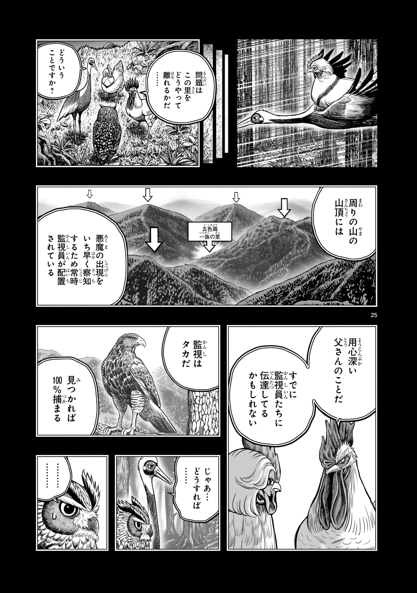 Page 25