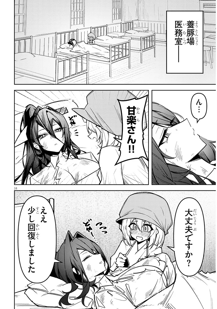 Page 14